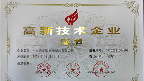 公司申請通過實用新型專利達(dá)29項，發(fā)明專利2項，成為上海市&ldquo;高新技術(shù)&rdquo;企業(yè)